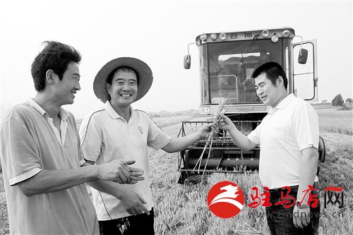 guols1406111.jpg