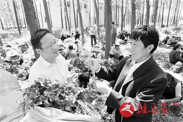 guols150584.jpg