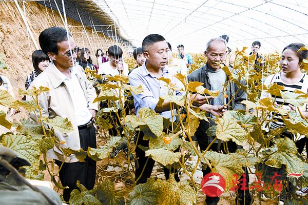 jiaoyp150362.jpg