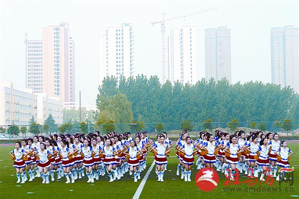 luf1505118.jpg
