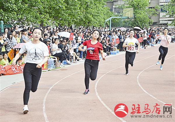guols1604212.jpg