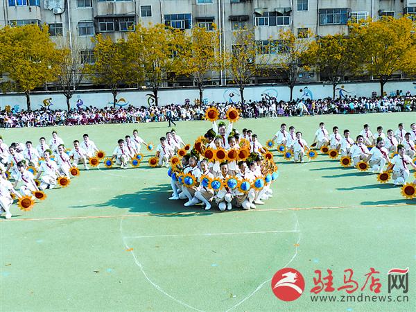 jiaoyp1604160.jpg