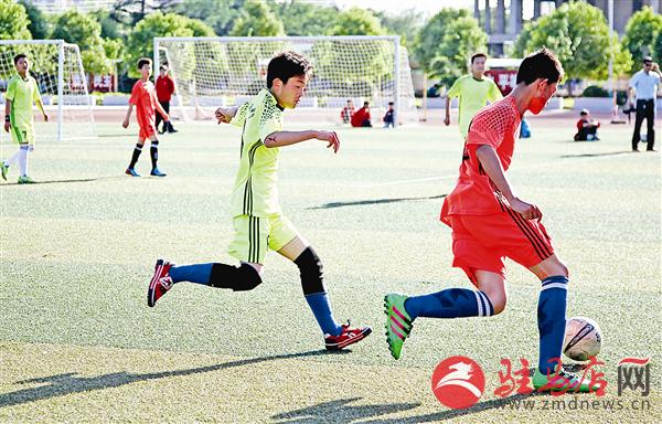 guols1605262.jpg