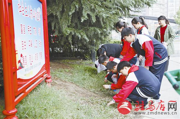 wub1701140.jpg