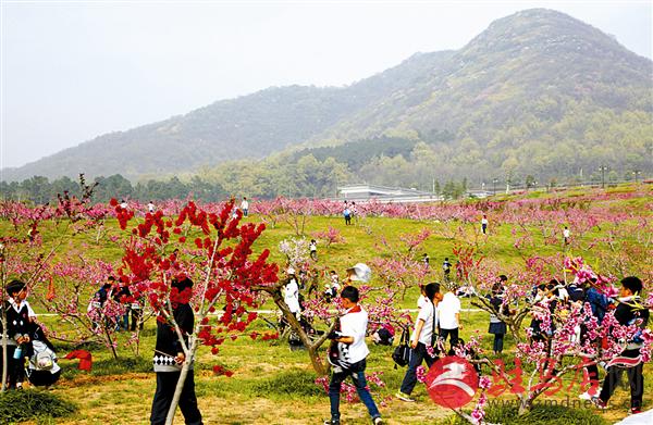 guols1803440.jpg