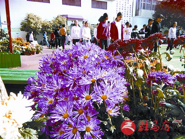 wangy181168.jpg