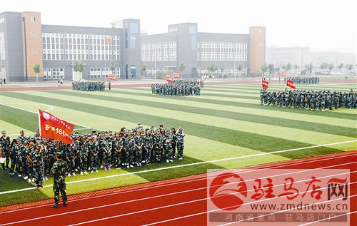 guols1608191.jpg