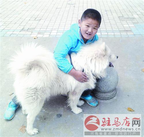 liuyan140613.jpg