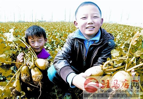 liuyan1411311.jpg