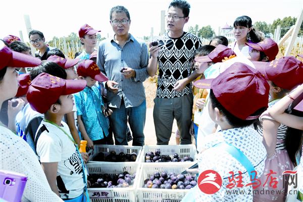 zhaohm150632.jpg