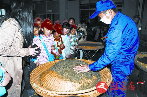 jiaoyp151035.jpg