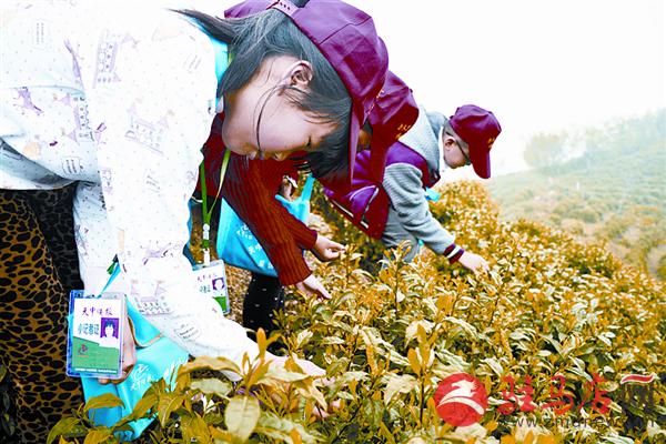 jiaoyp151036.jpg