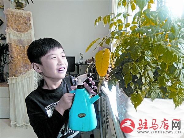 zhaohm151039.jpg