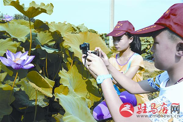 jiaoyp151066.jpg