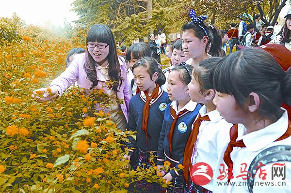 jiaoyp160430.jpg