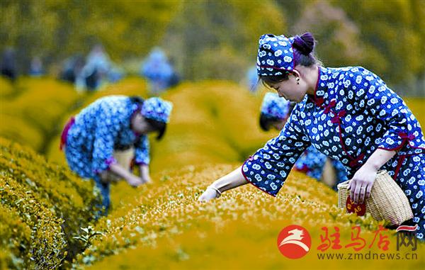 jiaoyp1604117.jpg