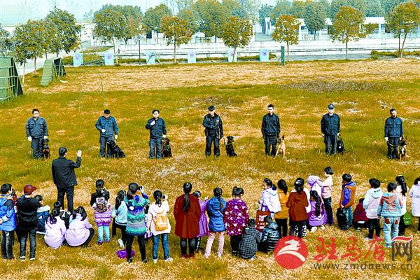 jiaoyp161146.jpg