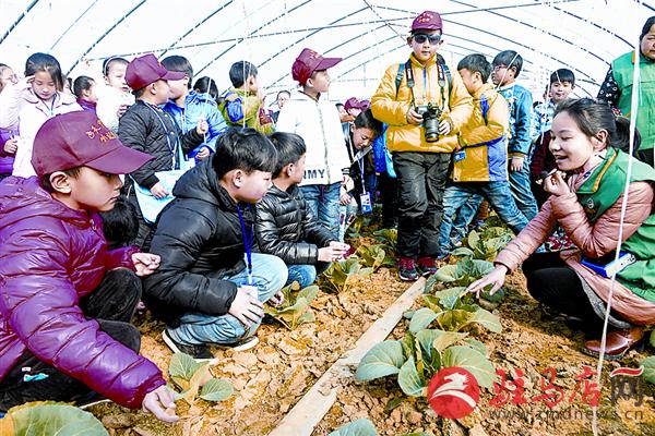 jiaoyp170248.jpg