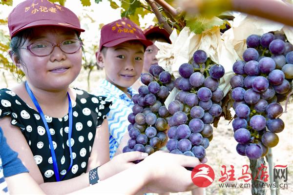 jiaoyp170825.jpg