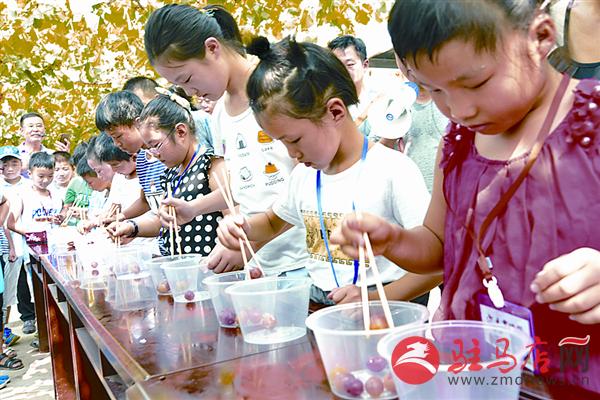 jiaoyp170824.jpg