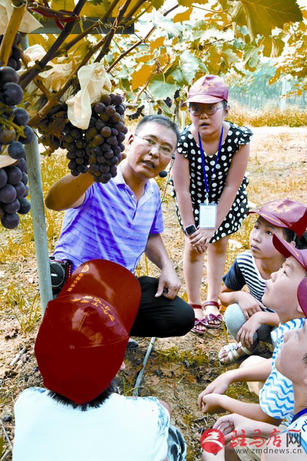 jiaoyp170820.jpg