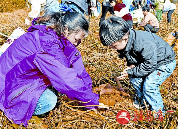 jiaoyp171115.jpg