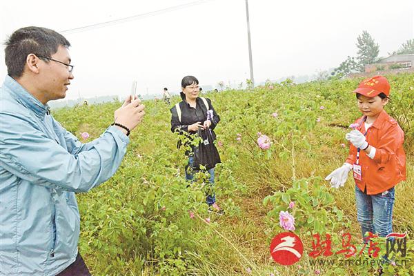 jiaoyp1805351.jpg