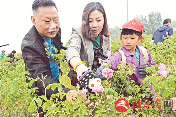 jiaoyp1805311.jpg