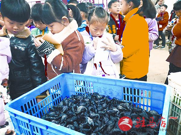 jiaoyp181186.jpg