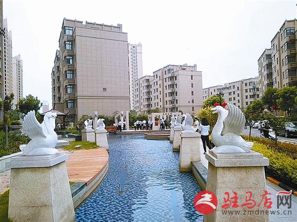 guols1808408.jpg