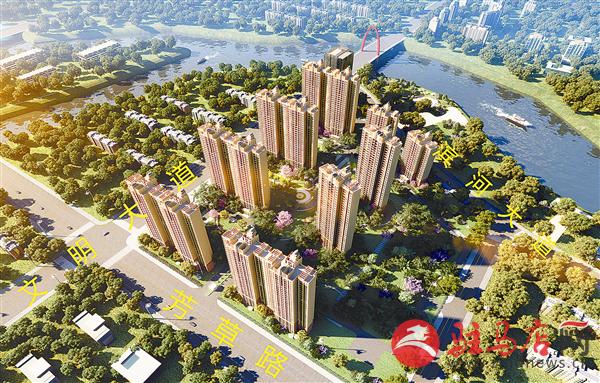 zhangz150350.jpg