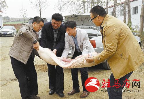 guols1411111.jpg