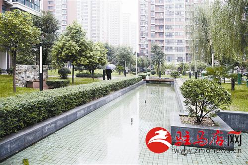 guols1410490.jpg