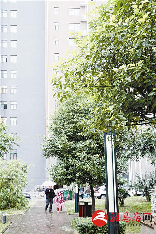 guols1410491.jpg
