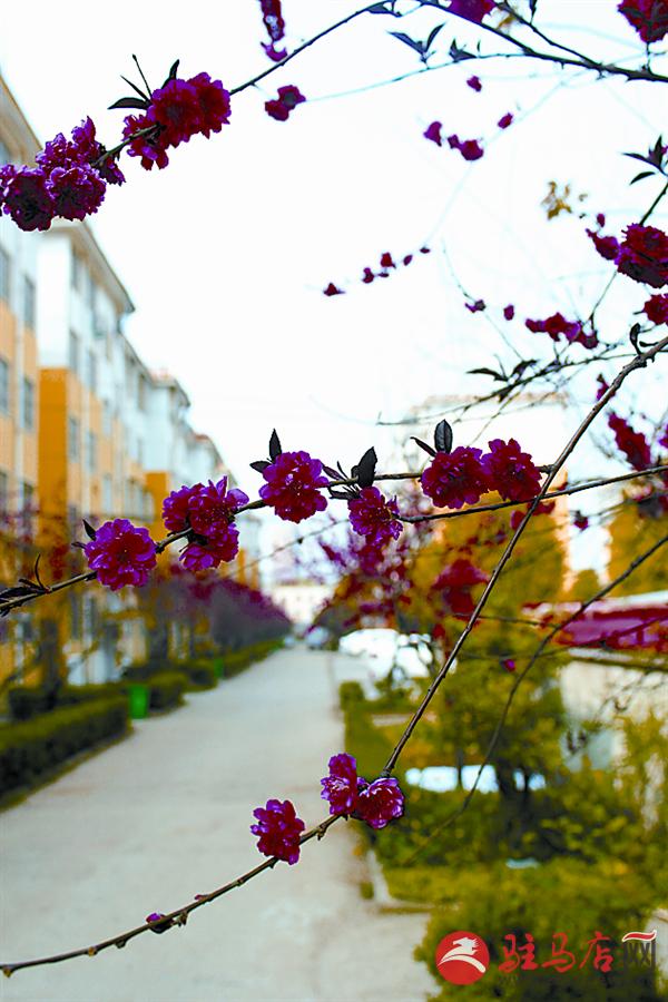 yuanzh150414.jpg