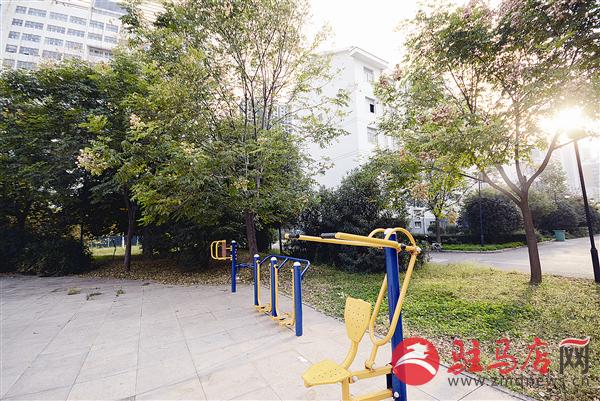 guols1510331.jpg