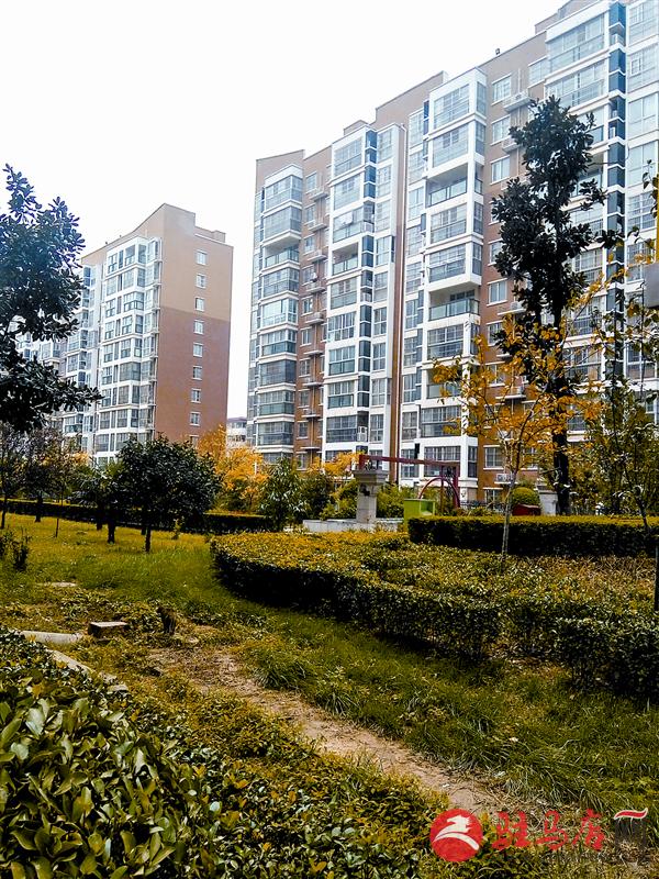 yuanzh161137.jpg