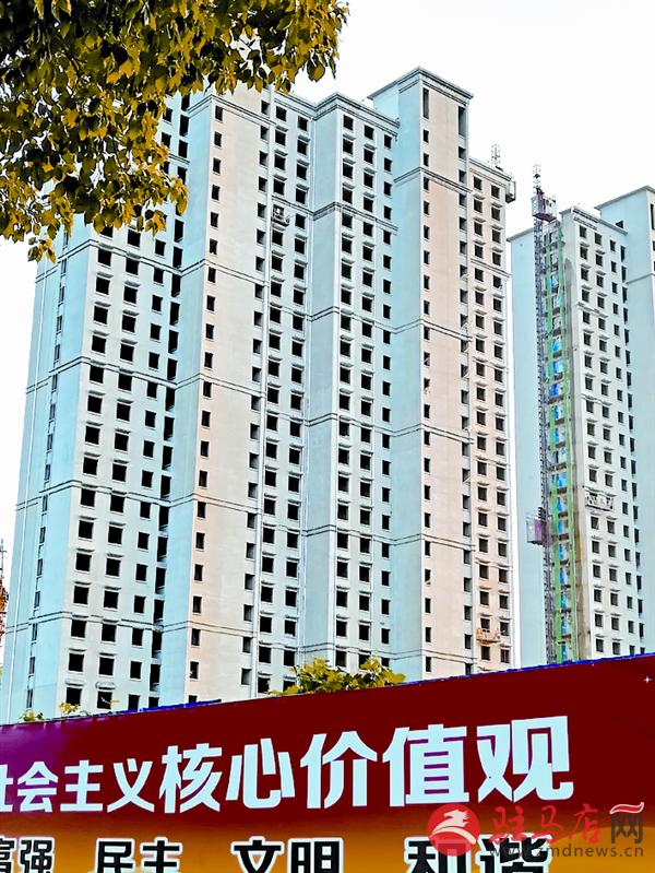 yuanzh1709140.jpg