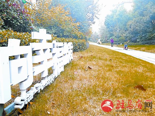 wangk17115.jpg