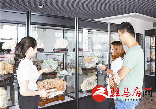 guols140873.jpg