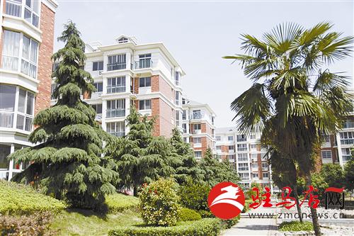 guols1405452.jpg