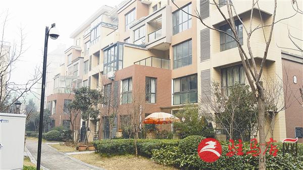 guols150249.jpg