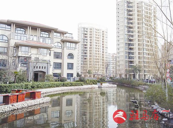 zhangz150363.jpg