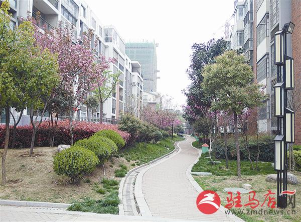 guols15049.jpg