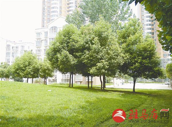 guols150886.jpg