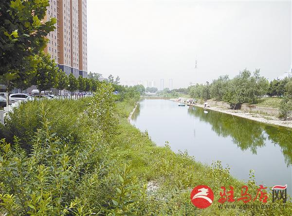 guols150885.jpg