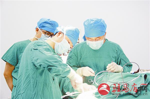 wub1507126.jpg
