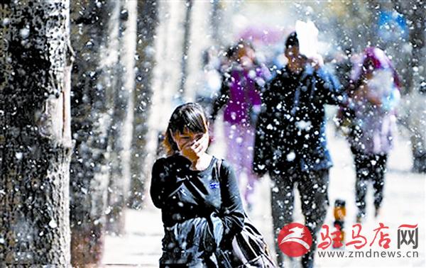 yuanzh170572.jpg