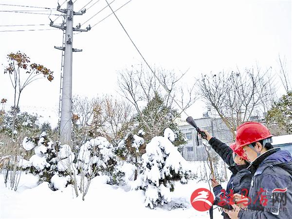 guols180177.jpg
