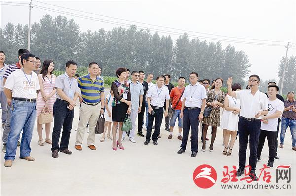 guols1607178.jpg
